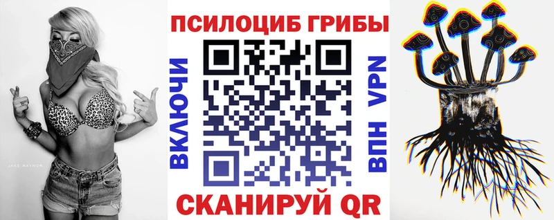 OMG tor  Похвистнево  Псилоцибиновые грибы Psilocybe 