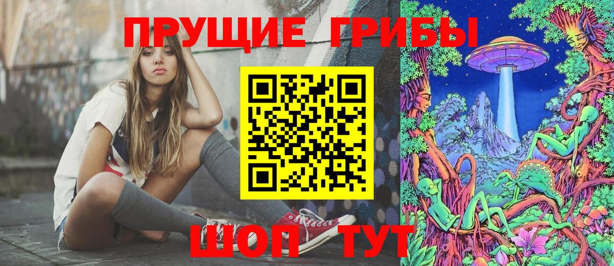 купить наркотики сайты  Галлюциногенные грибы Psilocybine cubensis  Вход с VPN  Похвистнево 
